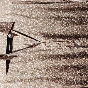 MITTOSHOP PRINT DRESS